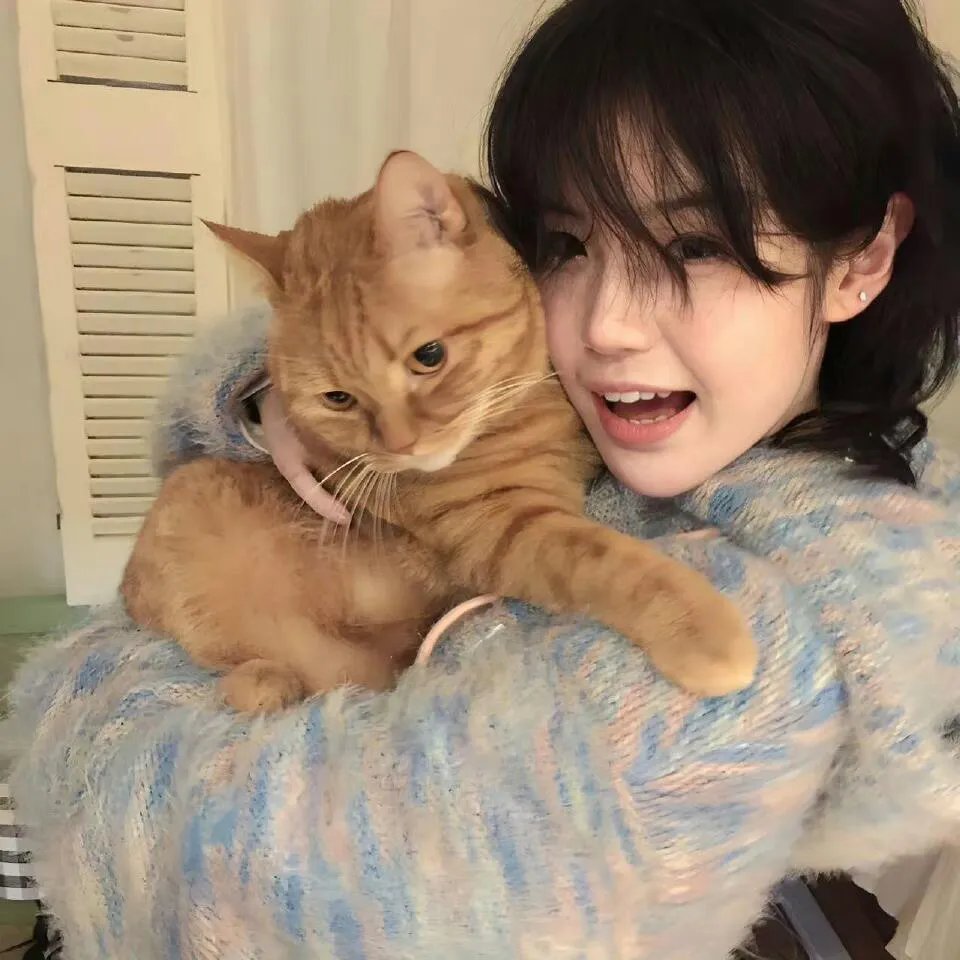 我的上司是白富美